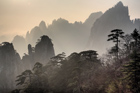 xe1201404a_h2_0376_4_5_small.jpg