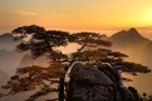 xe201404a_h1_8769_7_8_tm2_small.jpg