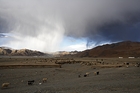 xes0230001200705chinatibetyunnwa8v0347_small.jpg