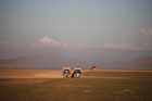xes0230952200705chinatibetyunnwa8v1333_small.jpg