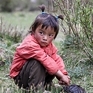 xes0231705200705chinatibetyunnwa8v2017_small.jpg