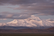 xes200707a_1599_small.jpg