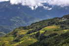 xe201308a_wa1023a0149_7_8_tm_small.jpg