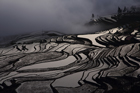 xe201401a_1444_small.jpg