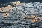 xe201401a_2206_4_5_tm_small.jpg