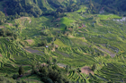 xe201401a_2584_tm_small.jpg