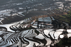 xe201401a_2802_small.jpg