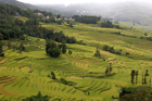 xe201401a_2908_tm_small.jpg