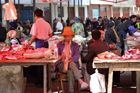 xe201404a_y2_5311_small.jpg