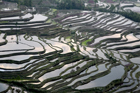 xe201404a_y3_6969_7_8_small.jpg
