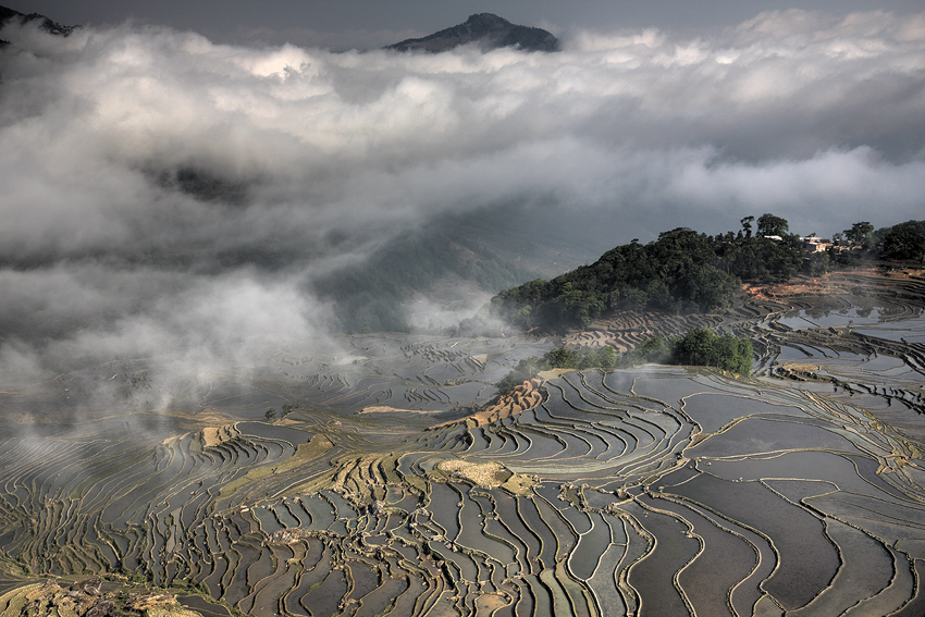 xe201404a_y3_7484_2_3.jpg