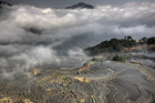 xe201404a_y3_7484_2_3_small.jpg