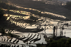 xe201404a_y3_7829_7_8_small.jpg