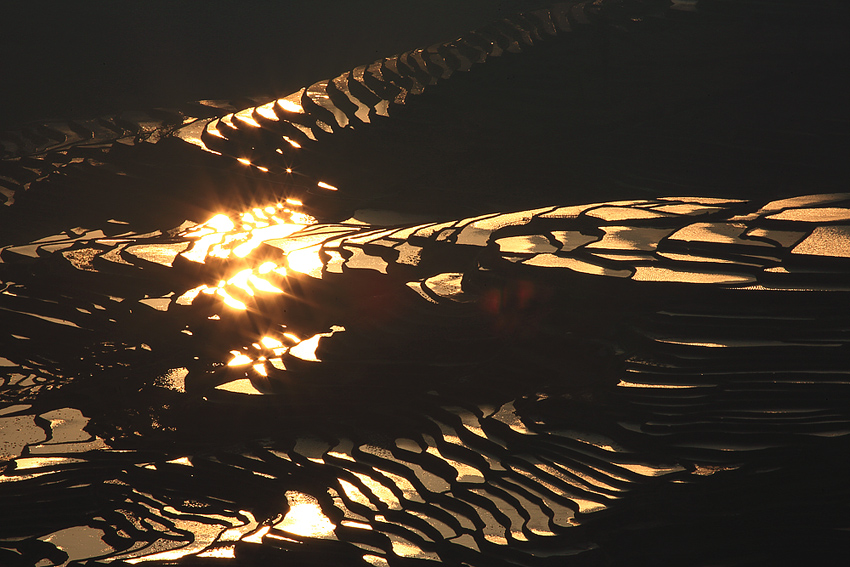 xe201404a_y3_8140.jpg