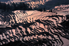 xe2201404a_y3_7999_7_8_small.jpg