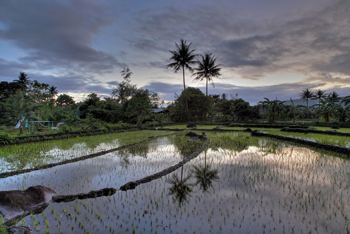 sxwa8v1646_4_5b.jpg